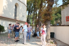 15 Kazimierz Dolny Fara