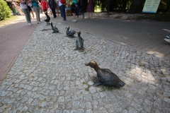 63.Nałęczów spacer koczorów