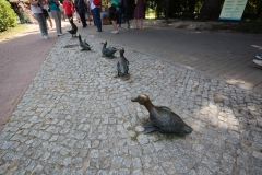 63.Nałęczów spacer koczorów